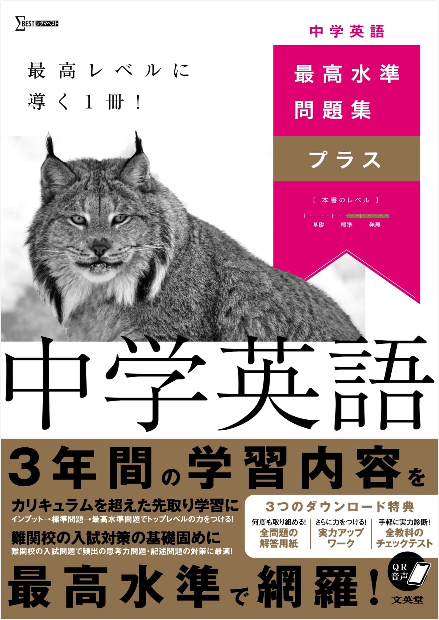 Highest Standard Problem Book Plus: Junior High School English (Sigma Best)