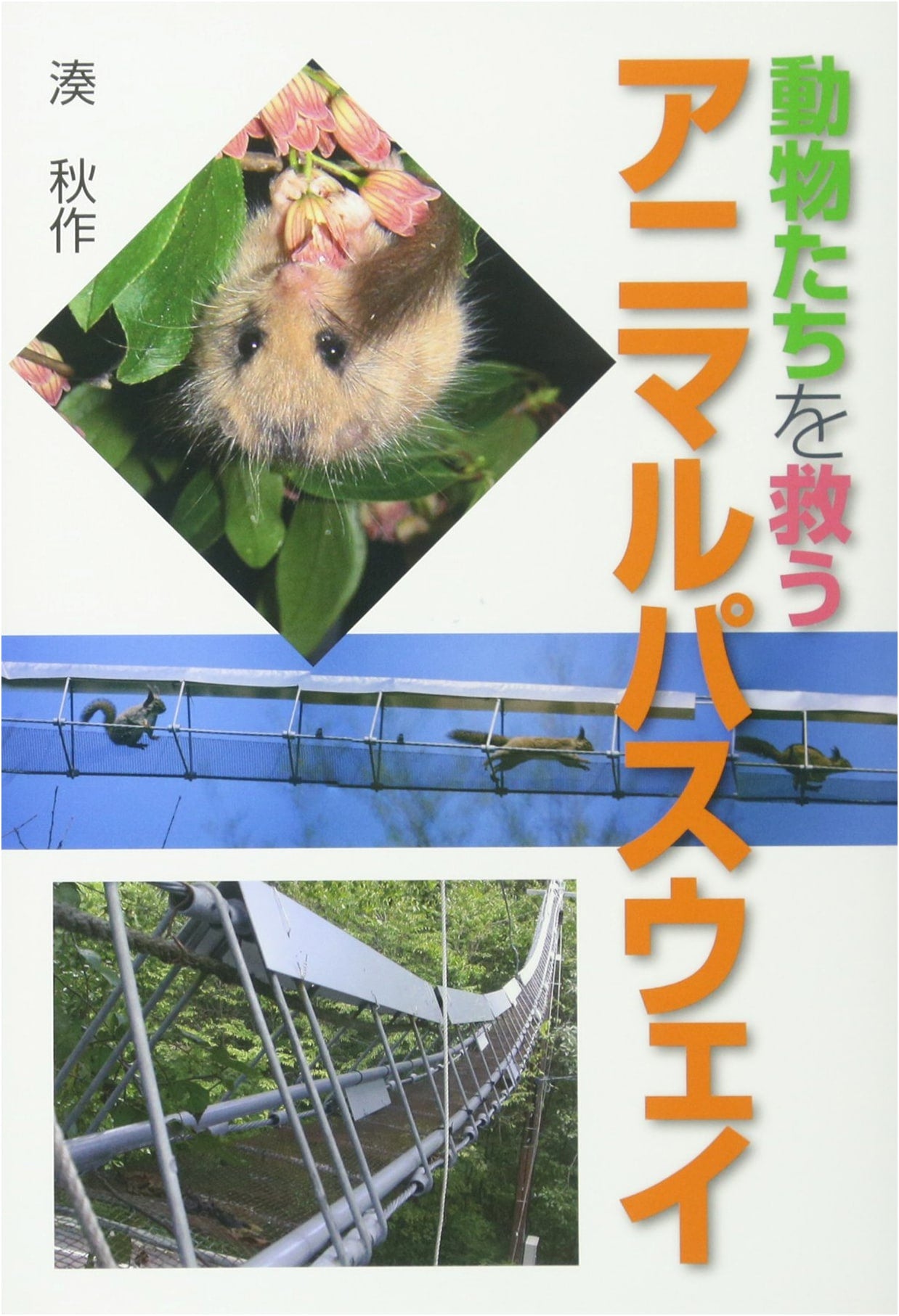 Animal Pathways: Saving Wildlife (Bunken Juvenile Non-Fiction)