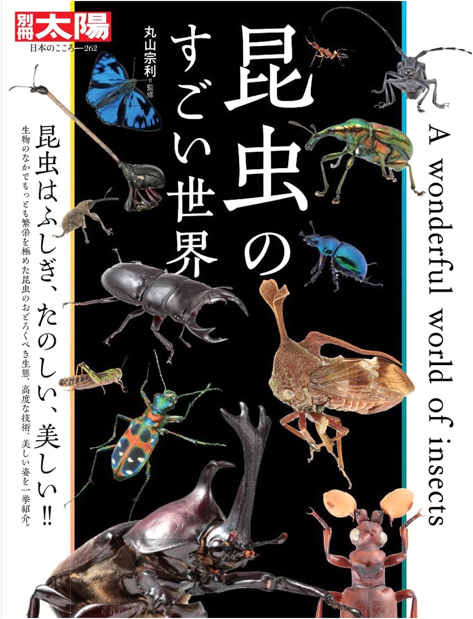 The Amazing World of Insects (Bessatsu Taiyo: The Heart of Japan)