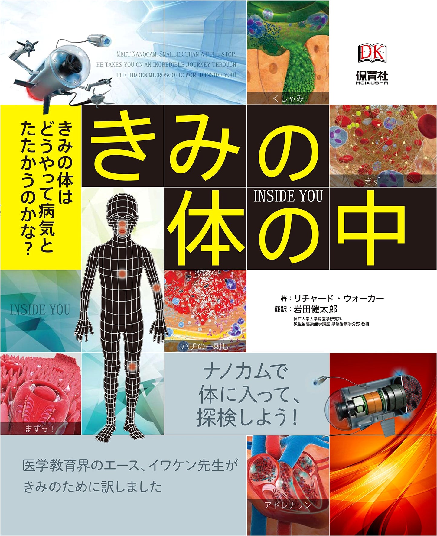 Inside You: How Your Body Fights Disease by Richard Walker