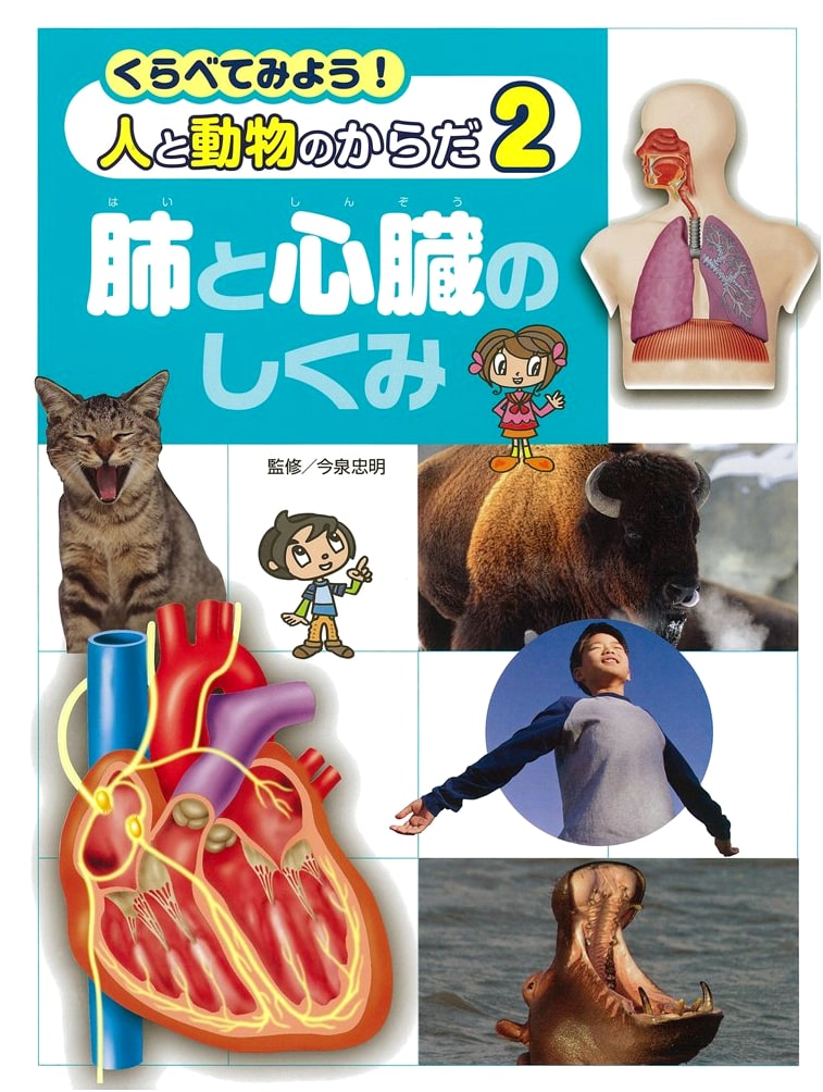 The Mechanisms of Lungs & Heart (Let's Compare! Human & Animal Bodies)