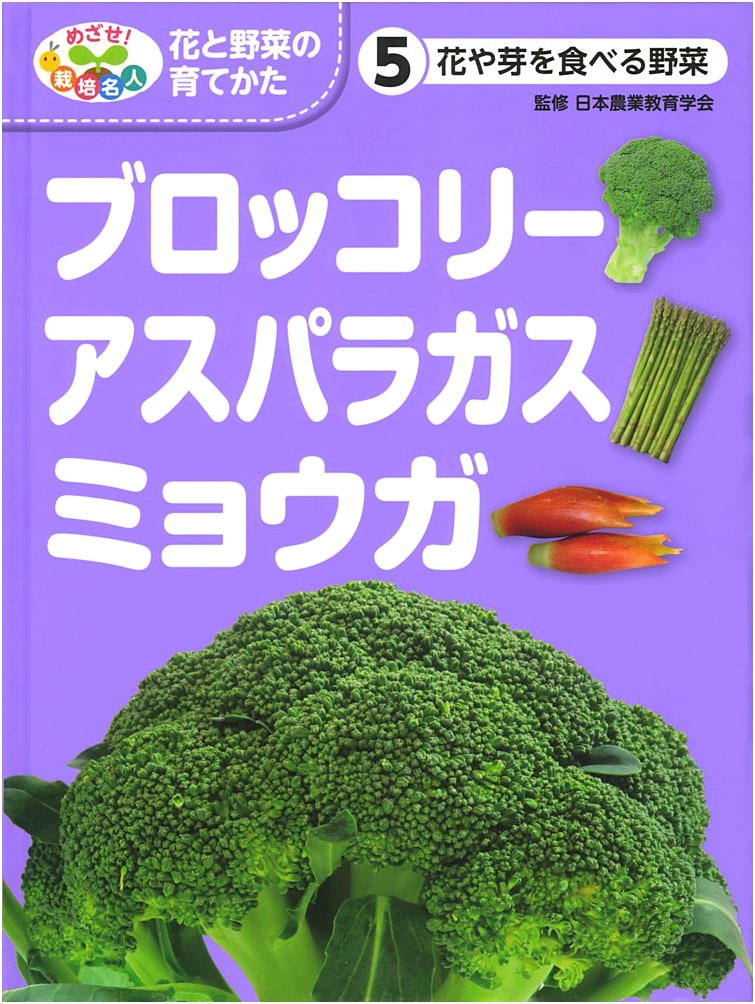 Edible Flowers & Buds: Broccoli, Asparagus, Myoga Vegetables Guide