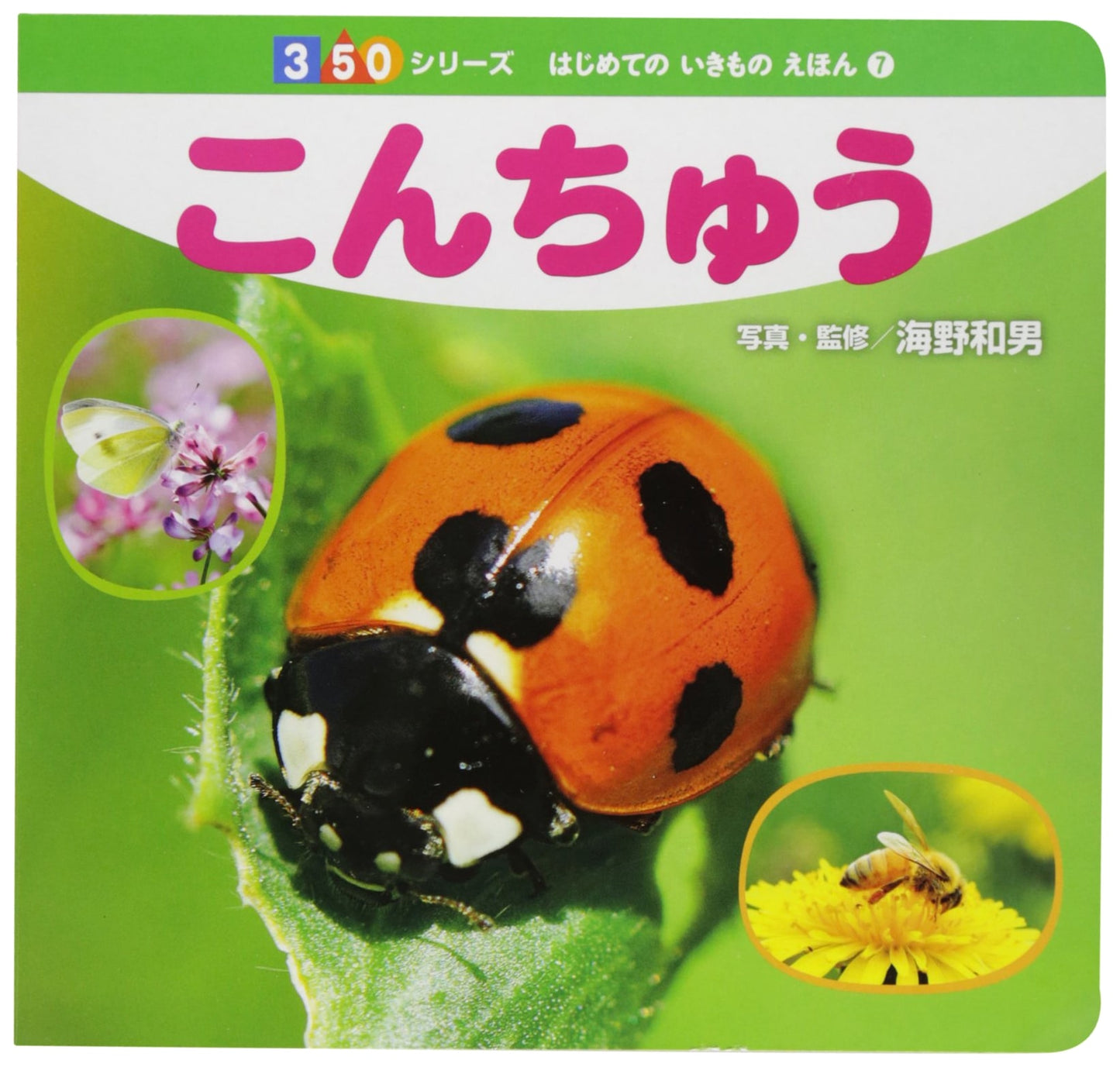 Insects: First Animal Picture Book (350 Series, Vol. 7)