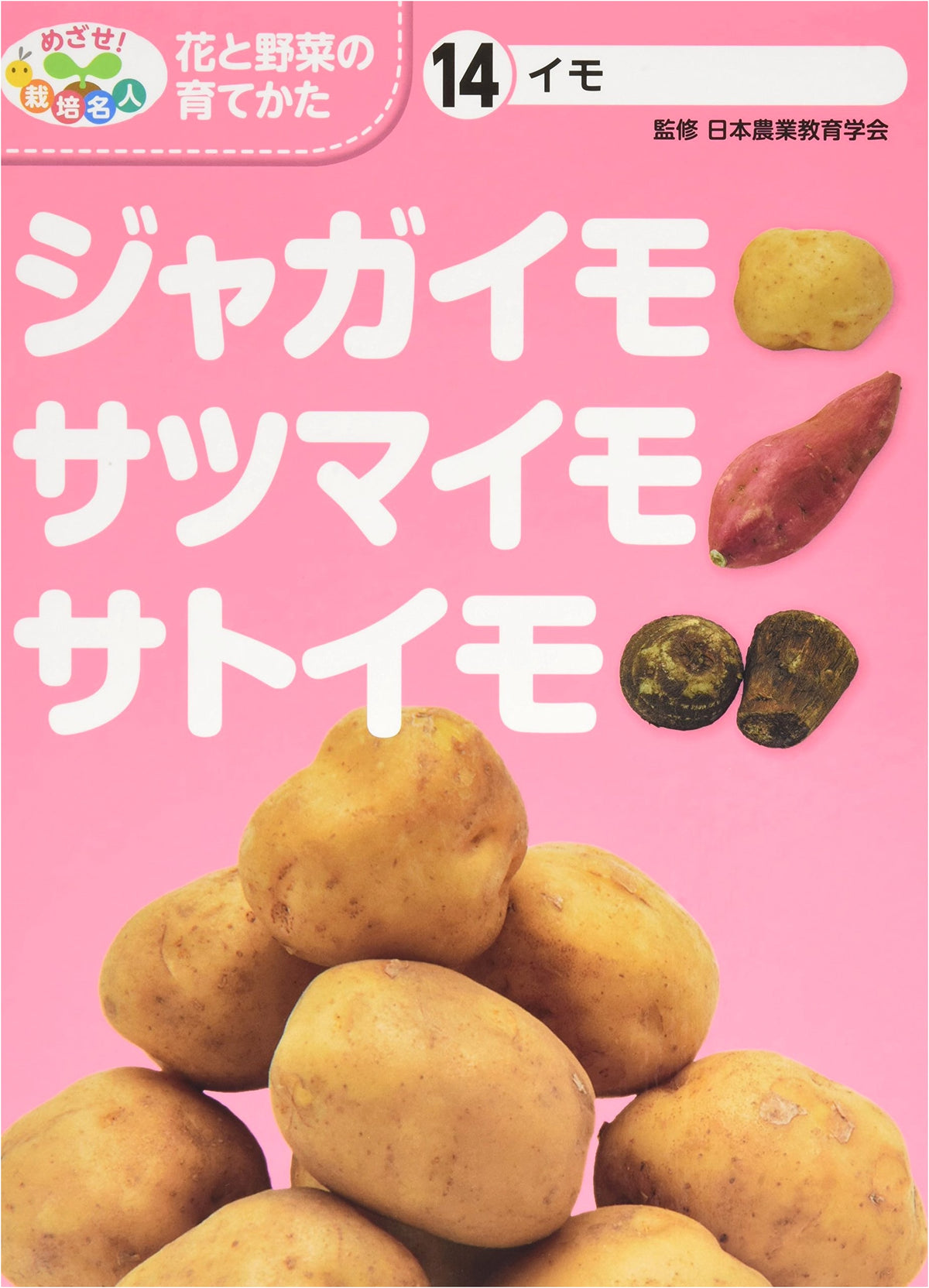 Imo: Potatoes, Sweet Potatoes, and Taro