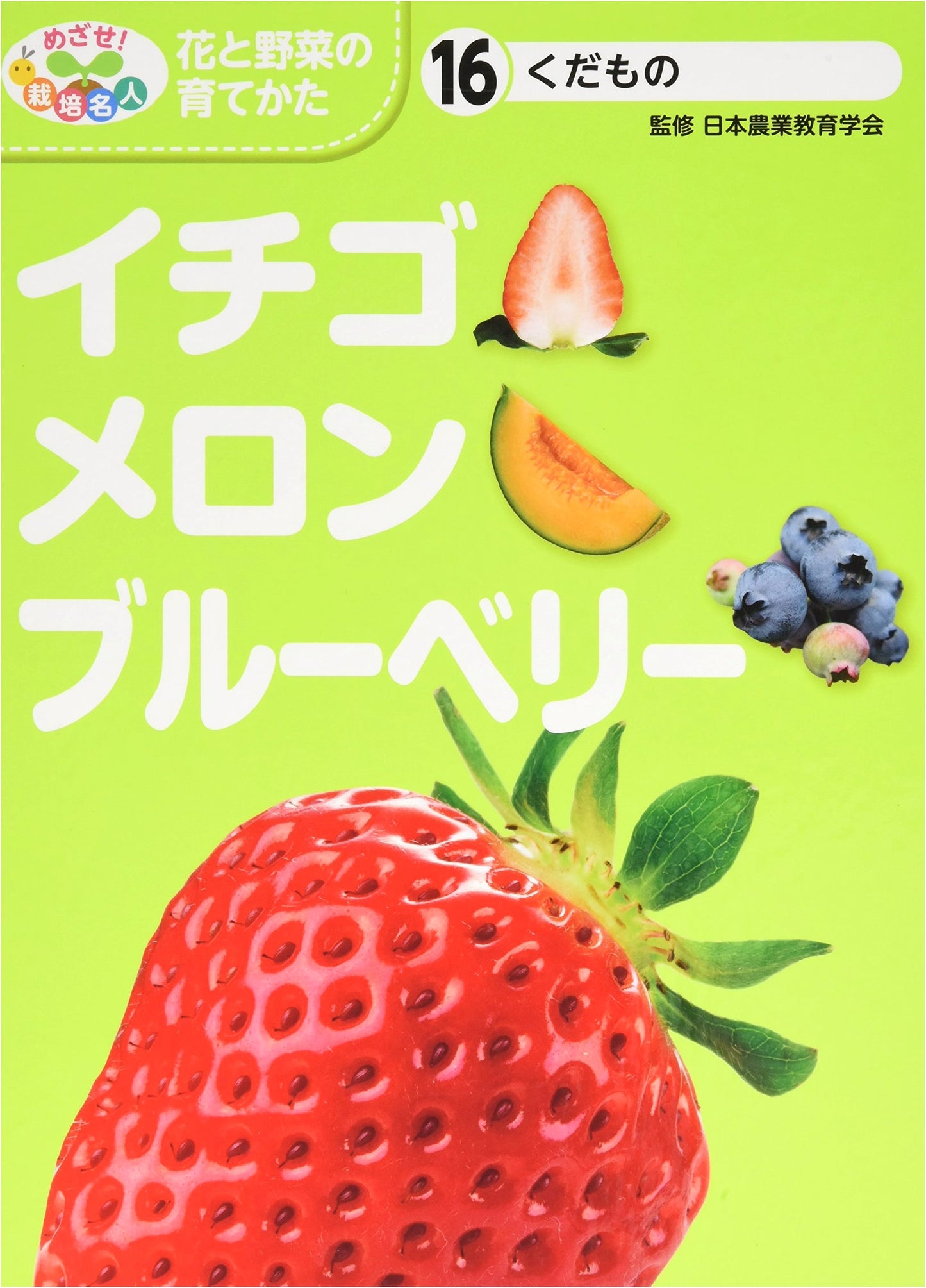 Fruits: Strawberries, Melons, and Blueberries