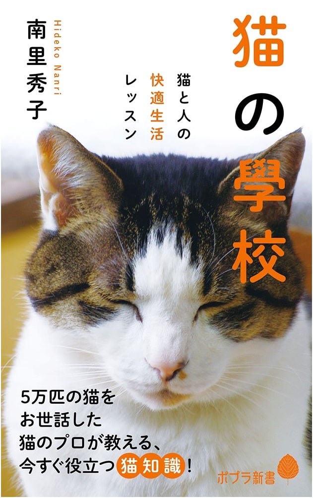Cat School: Lessons for a Comfortable Life with Cats (Poplar New Books Na 6-1)