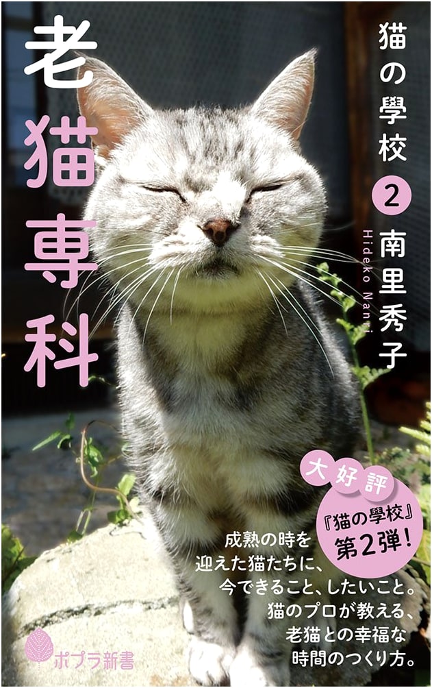Cat School 2: Senior Cat Specialization (Poplar New Books Na 6-2)
