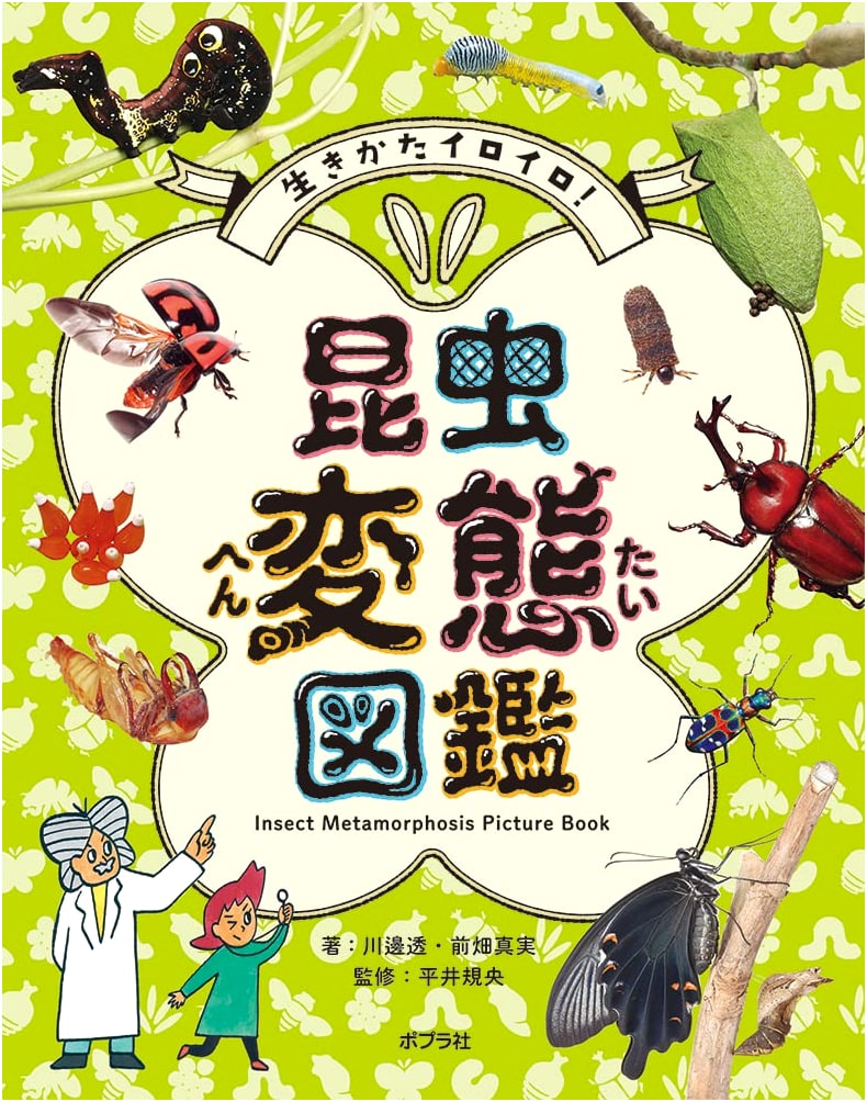 A Guide to Insect Metamorphosis: Diverse Lifestyles! (Monograph 330)