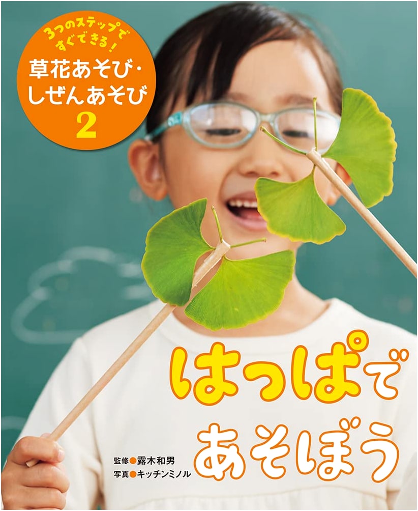 Let's Play with Leaves: Easy Nature Crafts & Activities - Volume 2