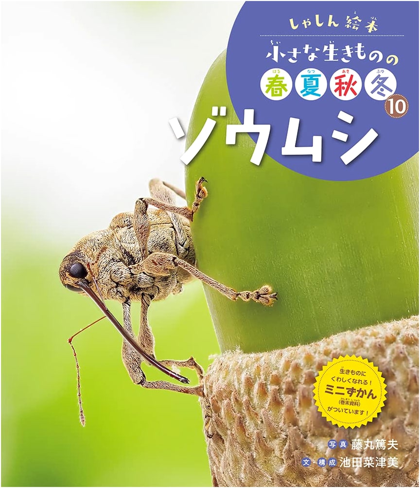 Weevils: Photo Picture Book of Small Creatures Through the Seasons (Vol. 10)