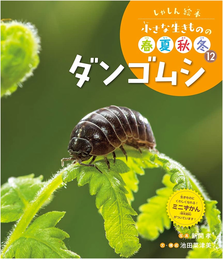 Pill Bugs: A Photo Picture Book of Small Creatures Through the Seasons, Vol. 12