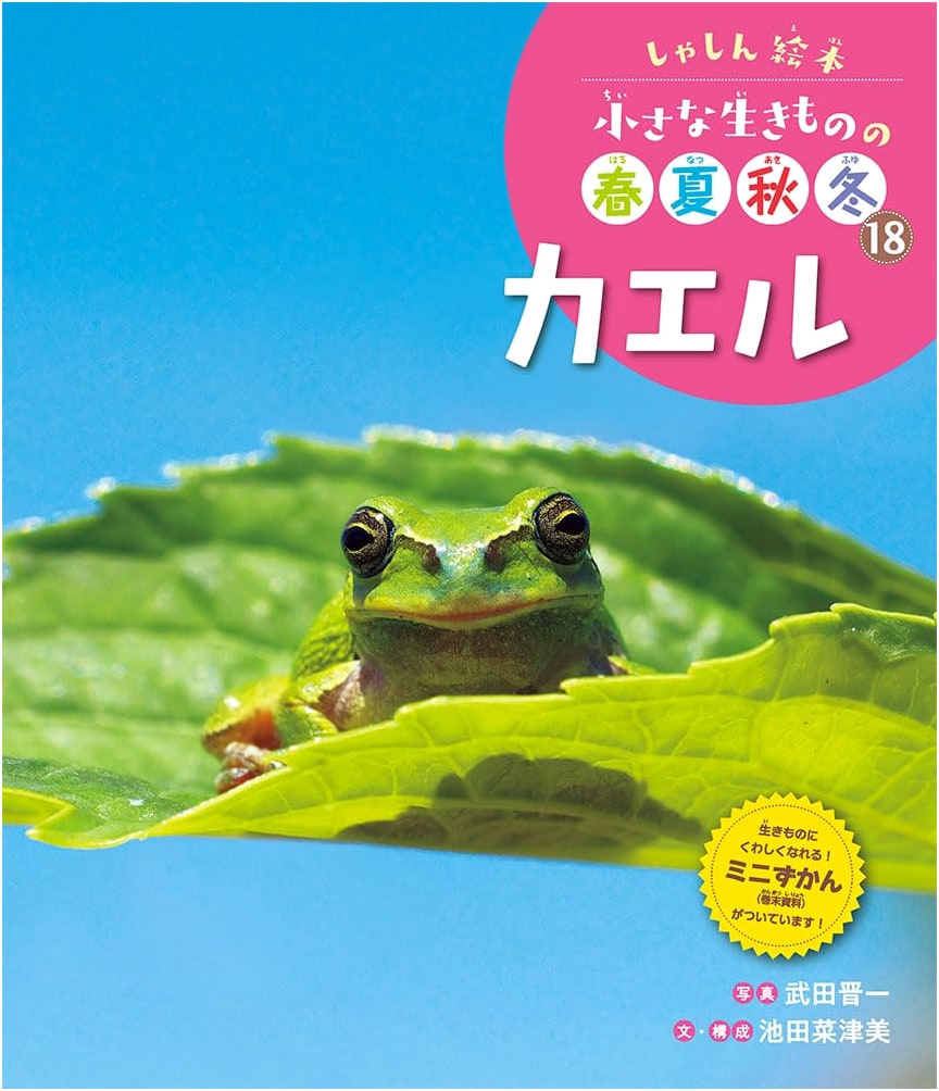 Frogs: Photo Picture Book of Small Creatures' Four Seasons, Vol. 18