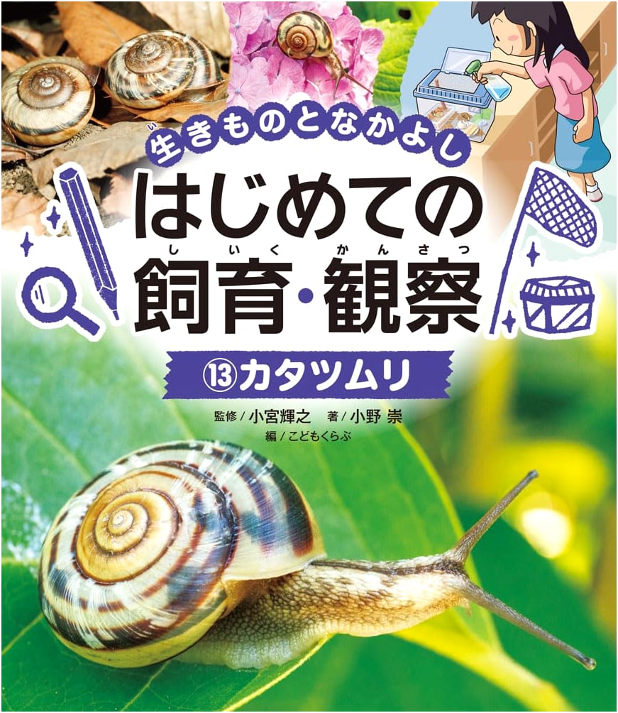 Snail: Your First Guide to Rearing & Observation (Animal Companions Series 13)