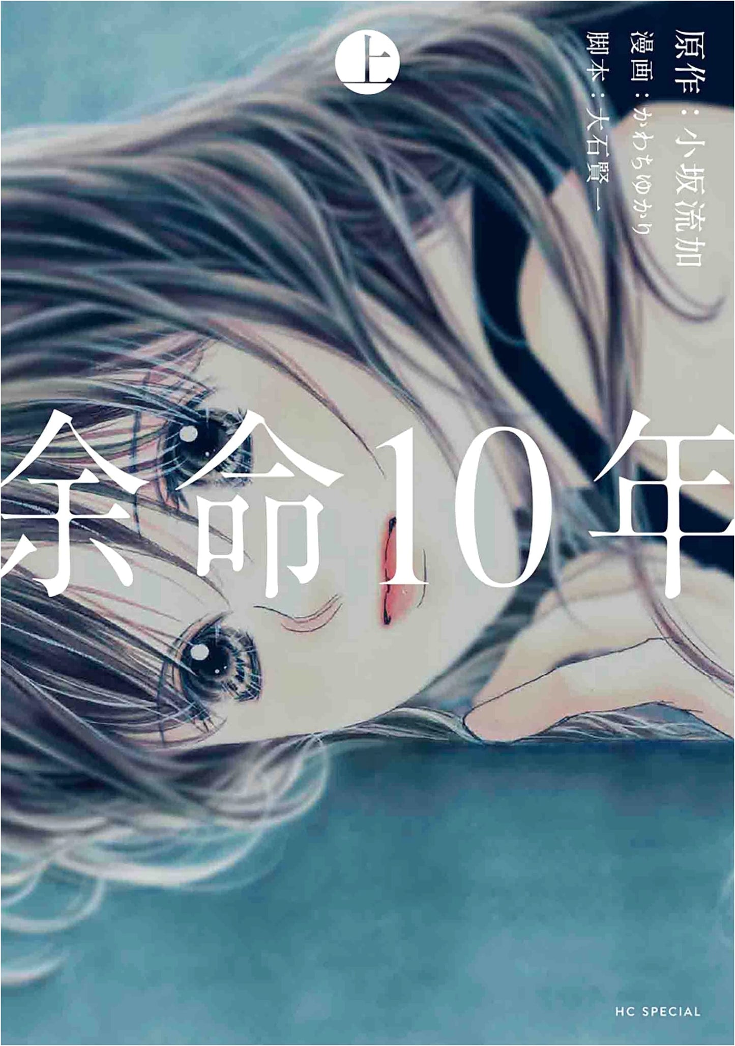 The Last 10 Years, Vol. 1 (Hana to Yume Comics)