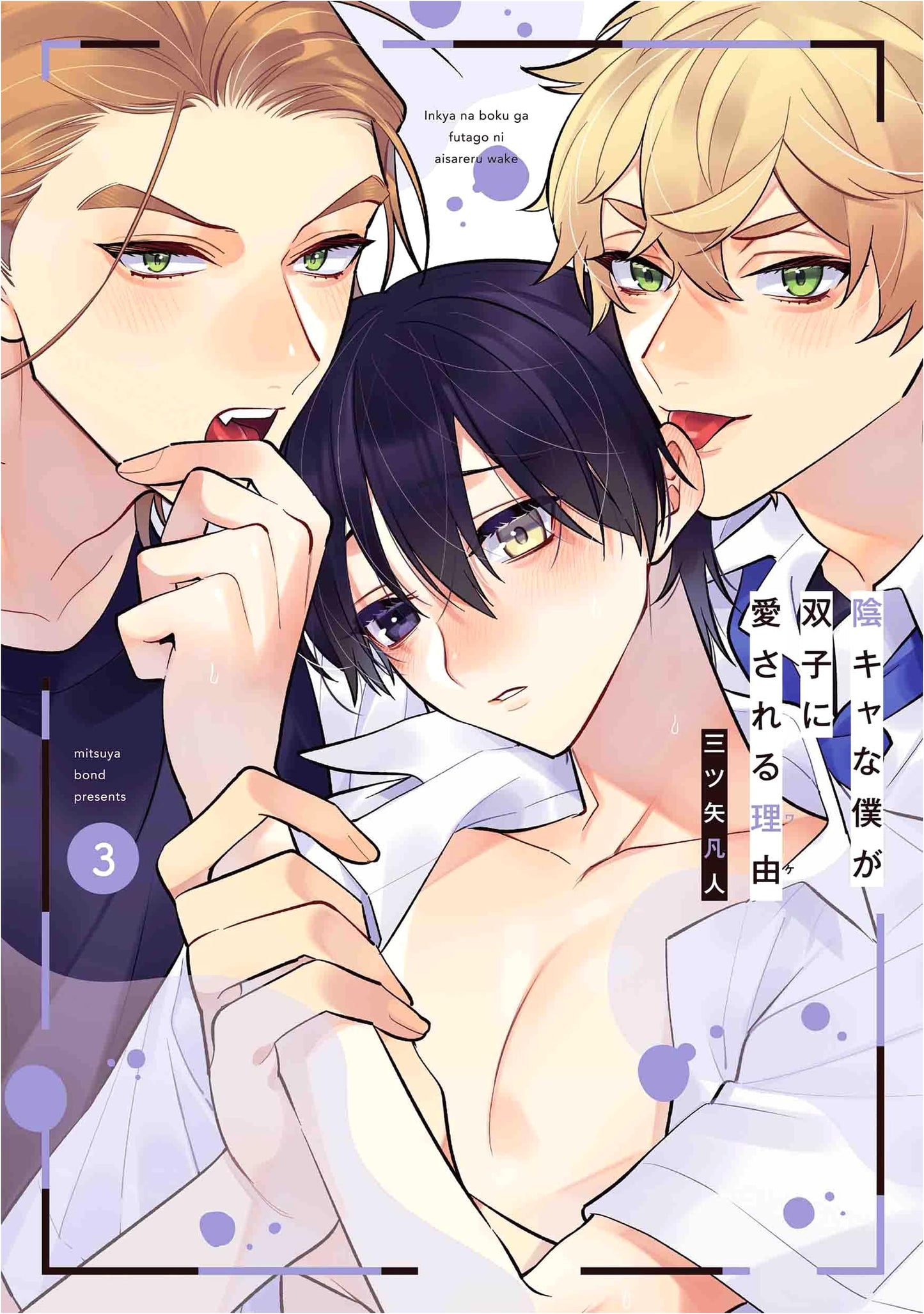 Why I'm Loved by Twins, Volume 3 (Hanamaru Comics Premium)