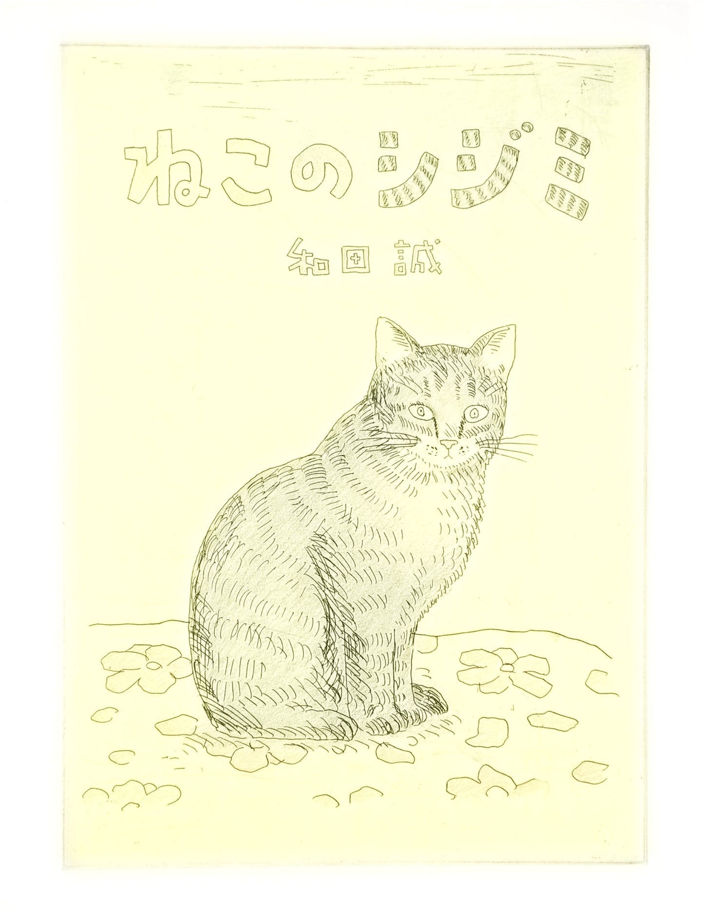 Shijimi the Cat: Forest of Images