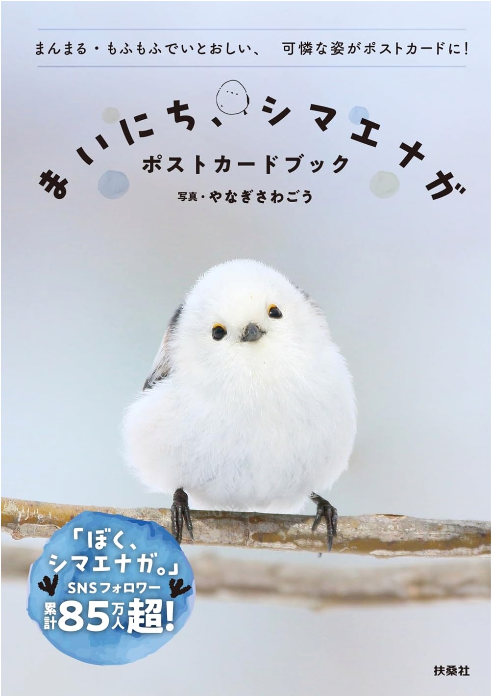Daily Shima Enaga: A Postcard Book