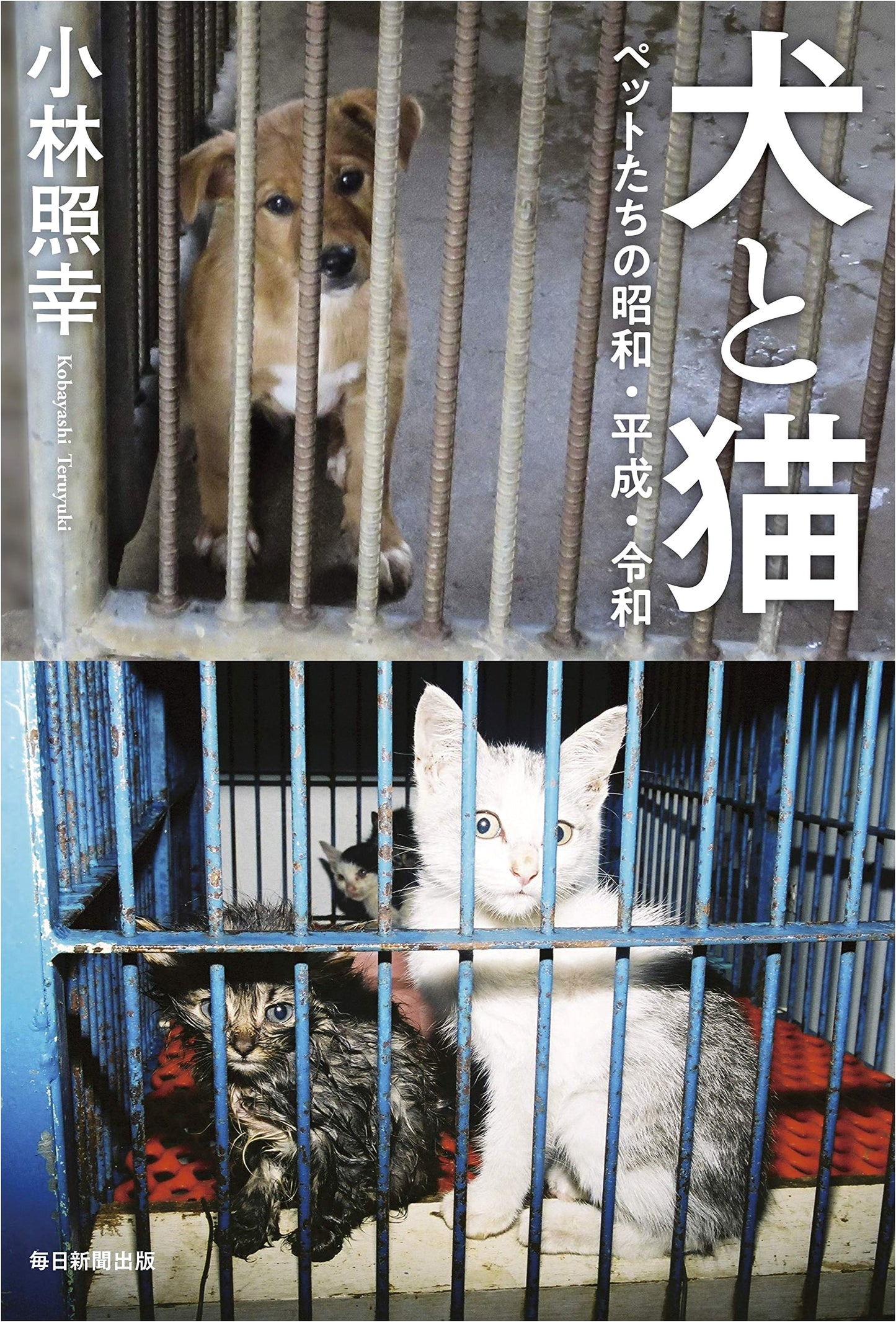 Dogs & Cats: Pets Through Japan's Showa, Heisei, and Reiwa Eras