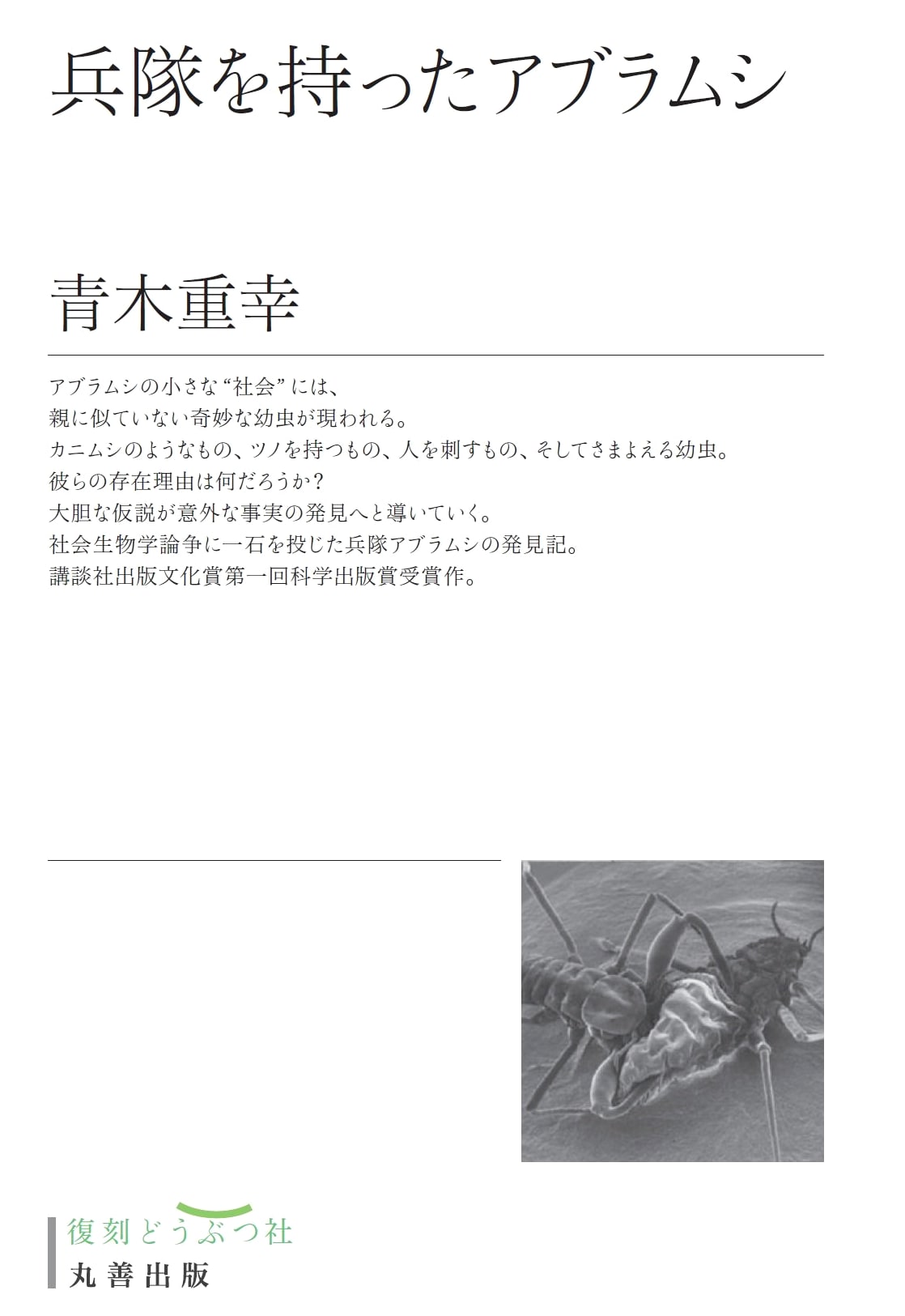The Aphid Who Had Soldiers