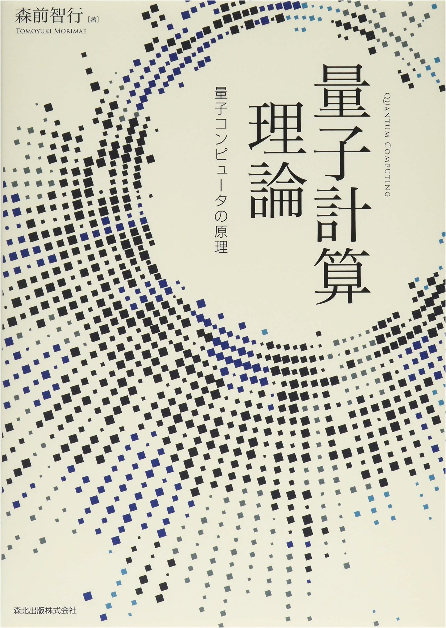 Quantum Computation Theory: Principles of Quantum Computers