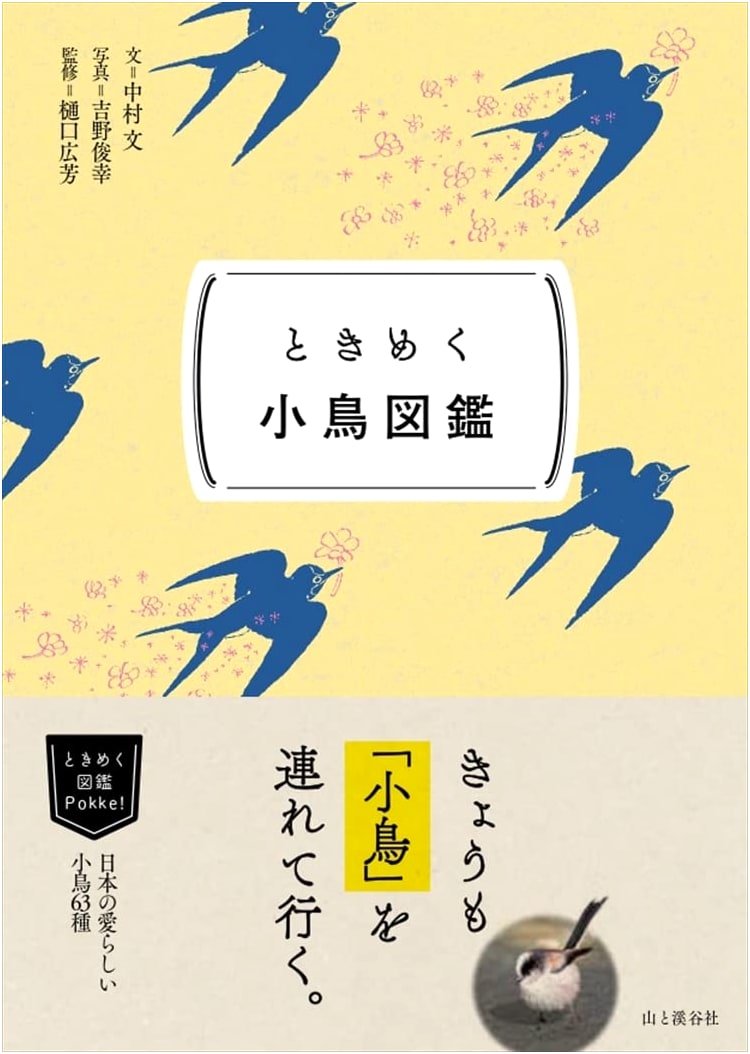 Sparkling Illustrated Guide Pokke! Captivating Small Birds Field Guide