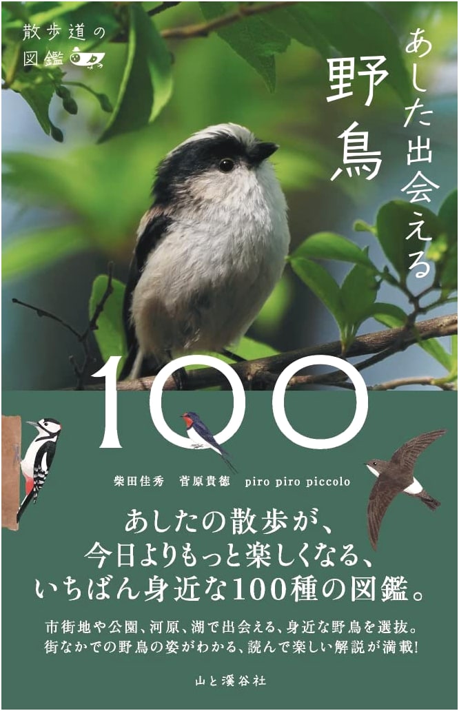 Field Guide to Walking Trails: 100 Wild Birds to Discover