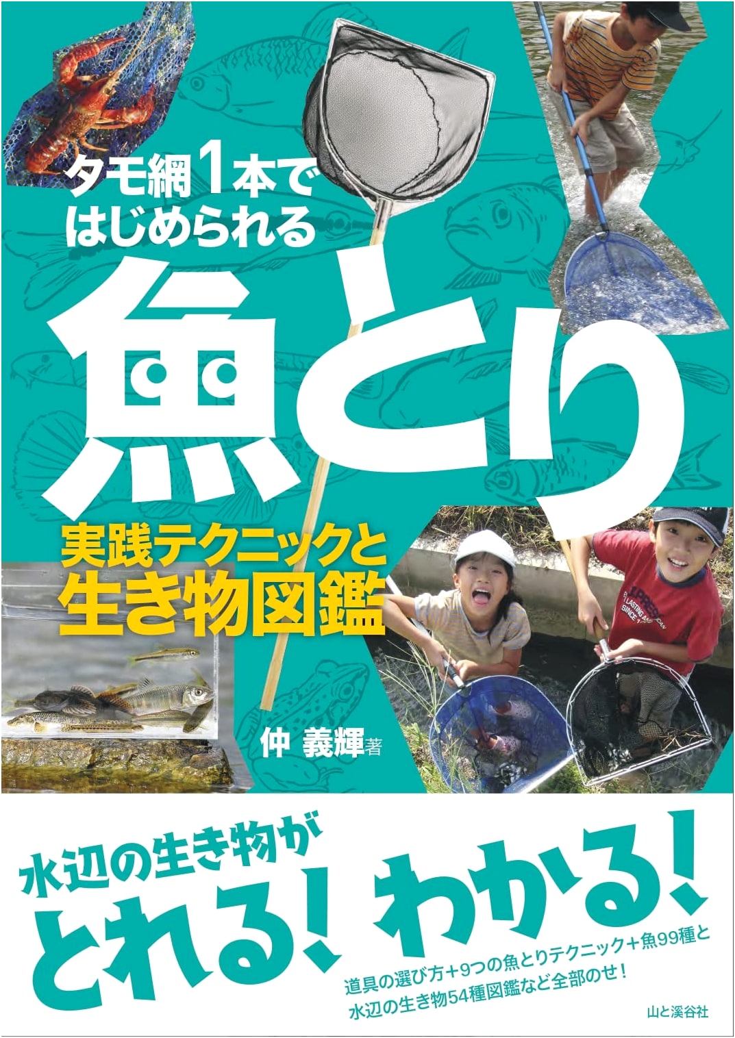 Fish Catching with a Single Net: Practical Techniques and Creature Encyclopedia