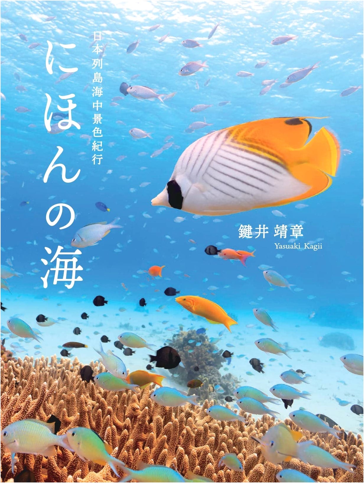 Seas of Japan: Underwater Views of the Japanese Archipelago by Yasuki Kagii