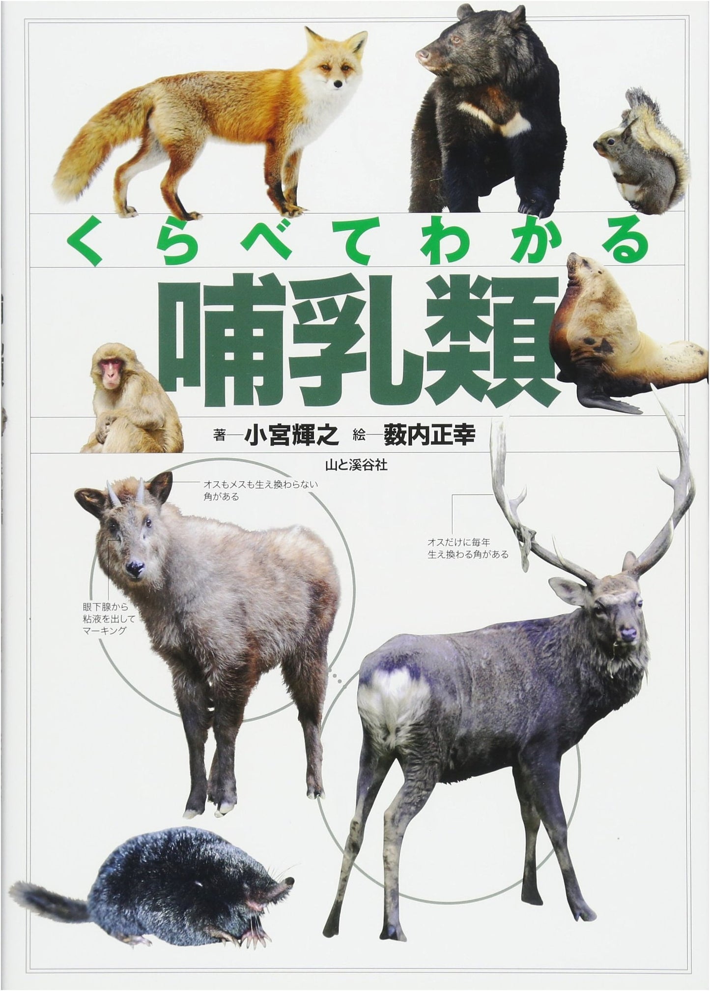 Comparing Mammals: An Illustrated Guide (Illustrated Encyclopedia Series)