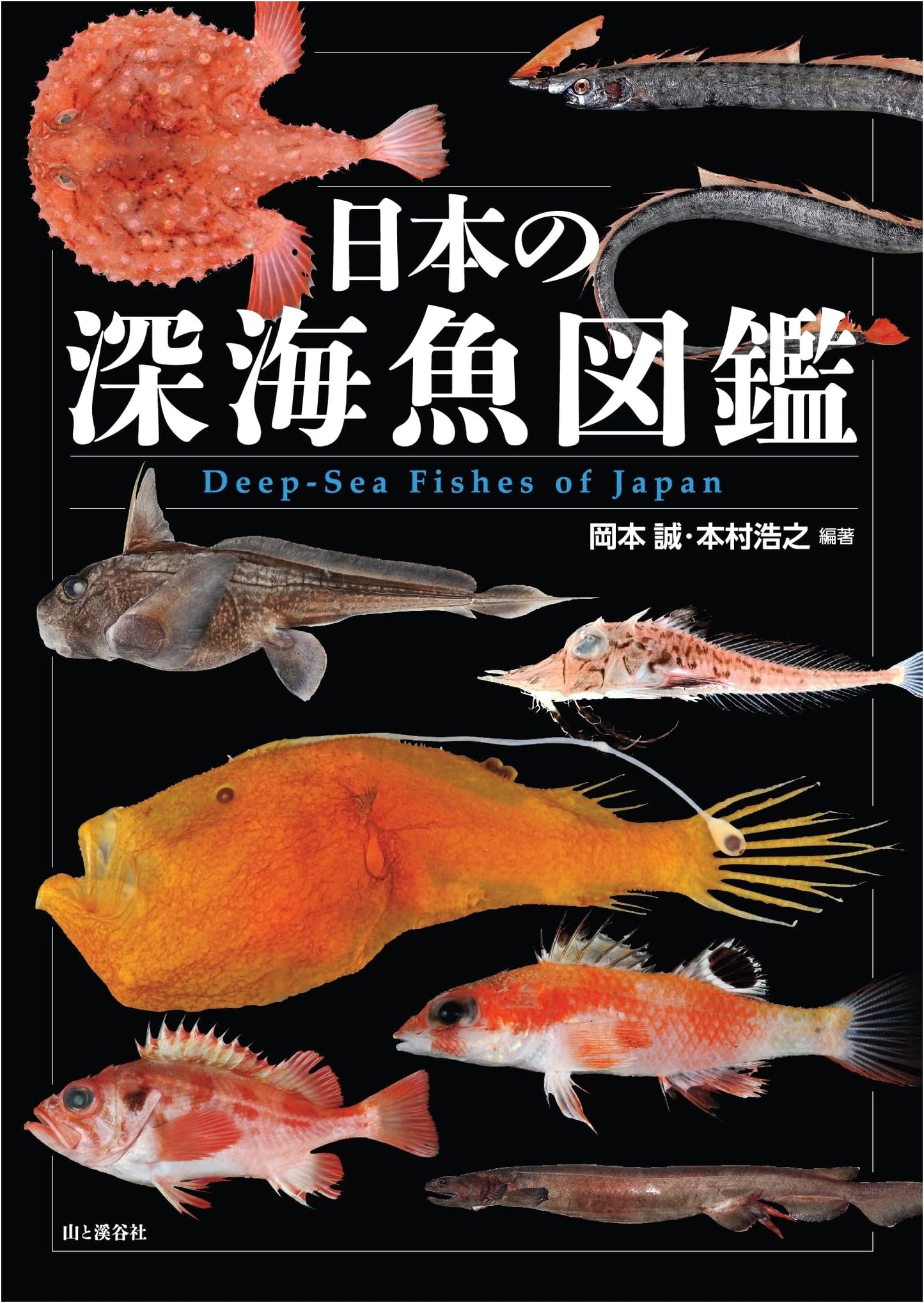 Illustrated Guide to Japan's Deep-Sea Fish