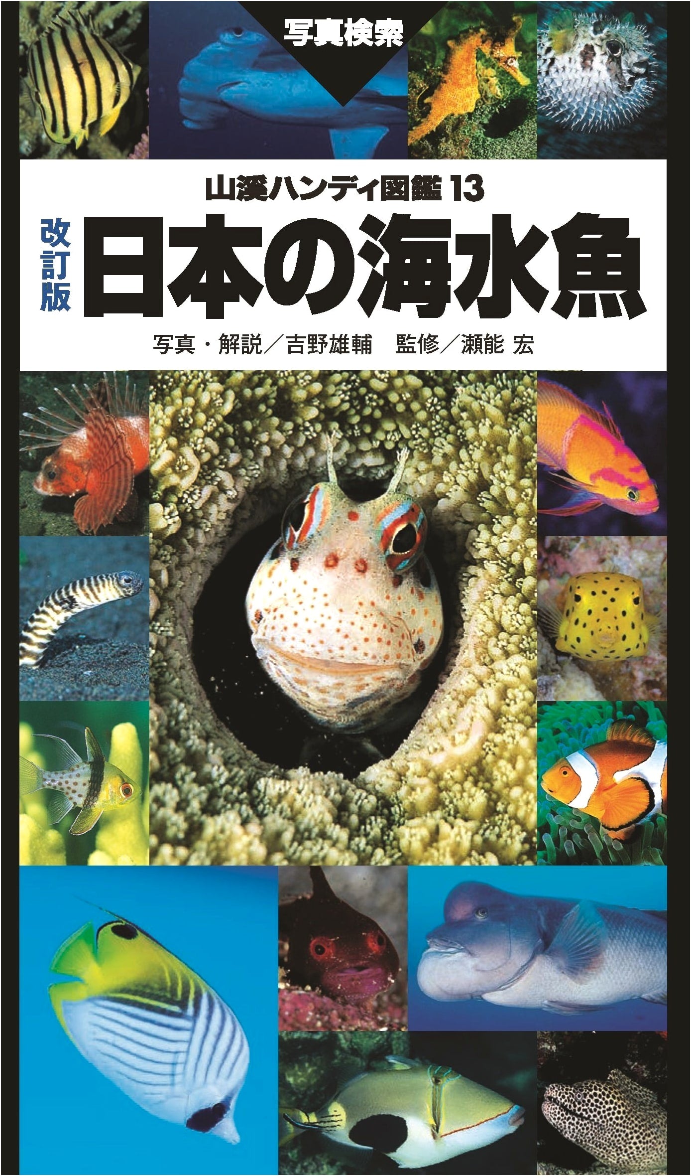 Yamakei Handy Guide: Marine Fish of Japan - Revised Edition