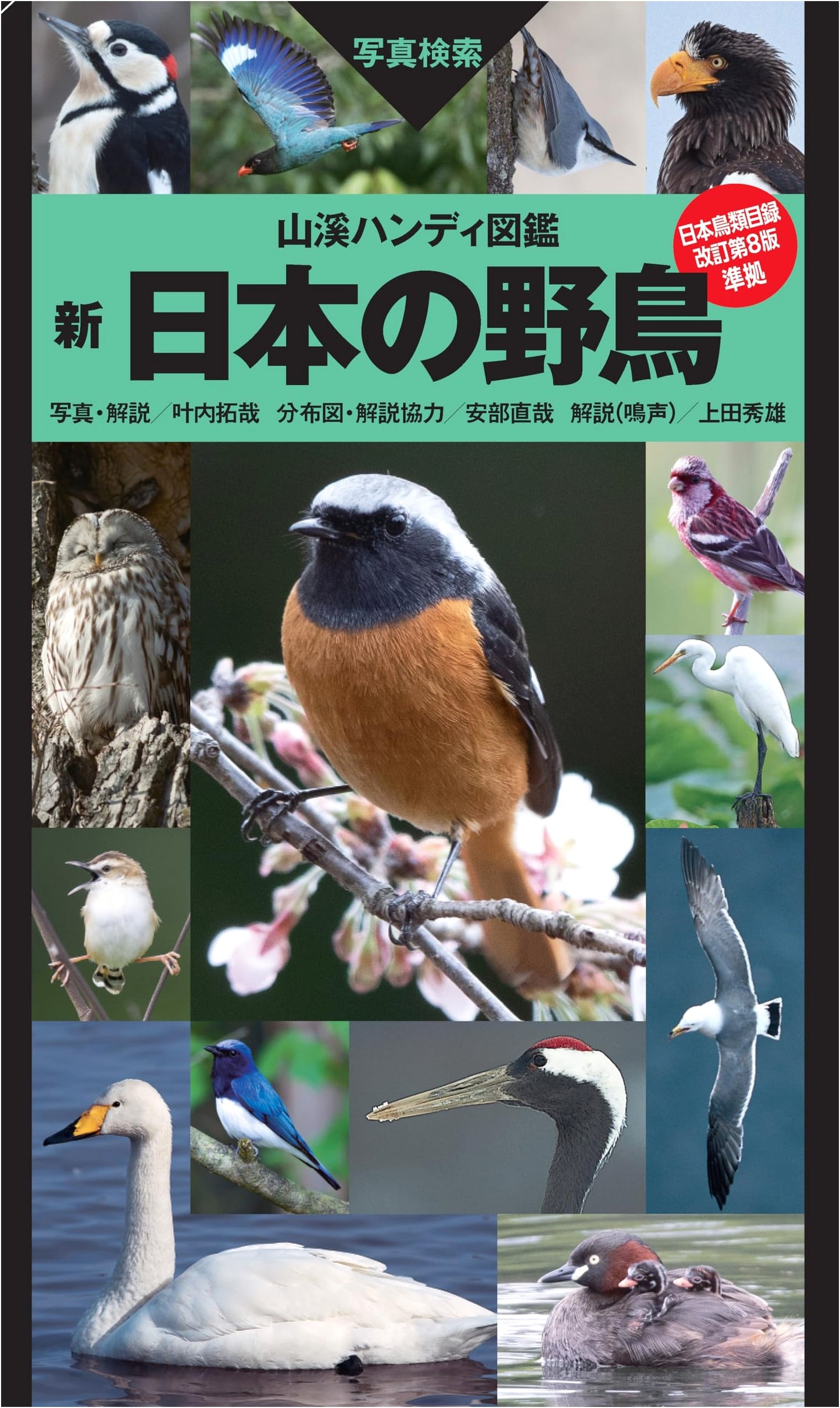 Yamakei Handy Illustrated Encyclopedia: New Wild Birds of Japan