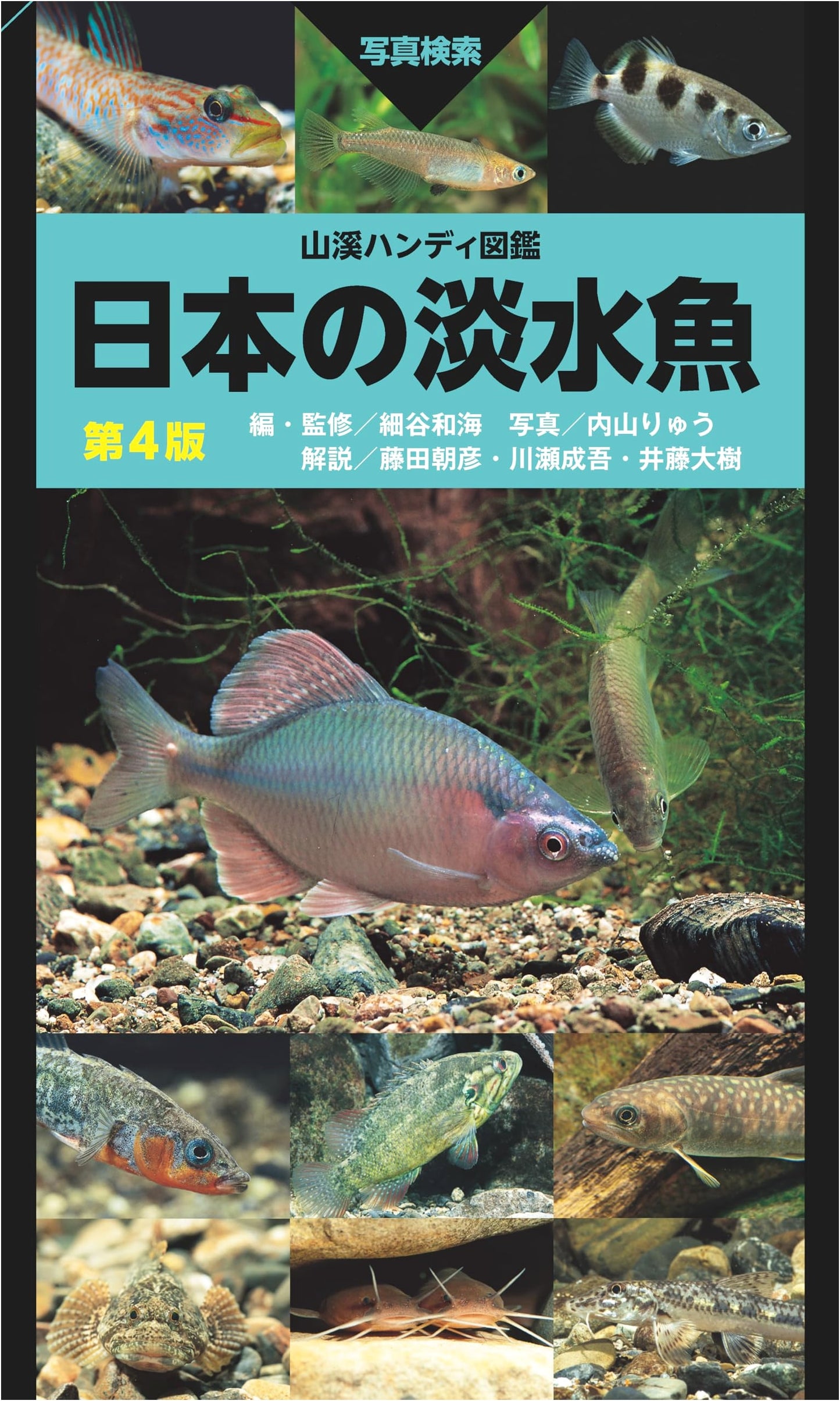 Mountain Stream Handy Illustrated Guide: Freshwater Fish of Japan, 4th Edition