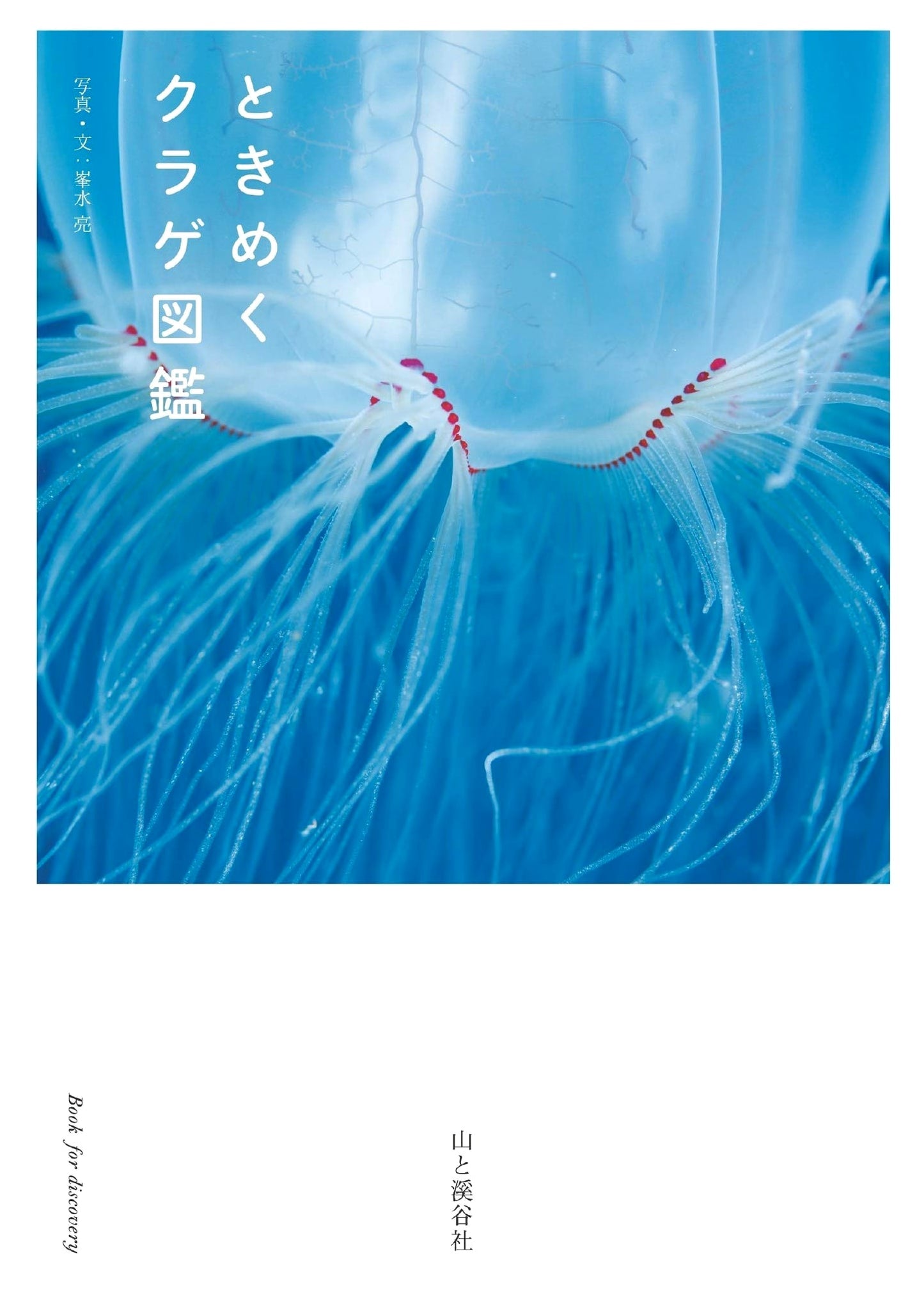 Heart-Fluttering Jellyfish: A Field Guide by Ryo Minemizu
