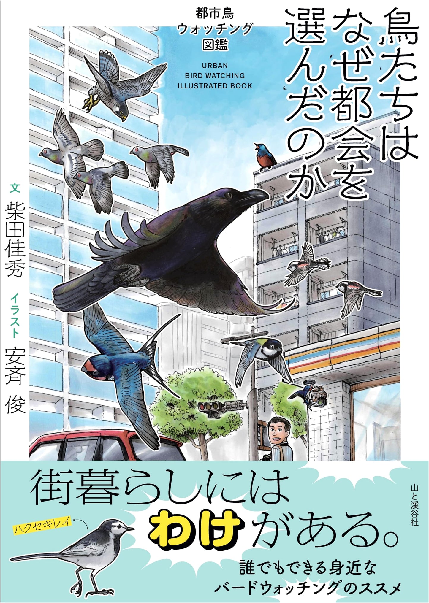 Why Birds Chose the City: An Urban Bird Watching Field Guide
