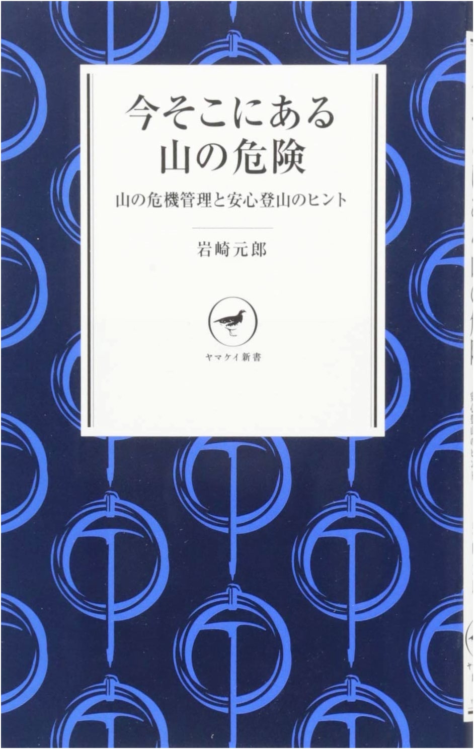 Immediate Mountain Dangers: Crisis Management & Safe Climbing Tips (Yama-kei New Book Series)