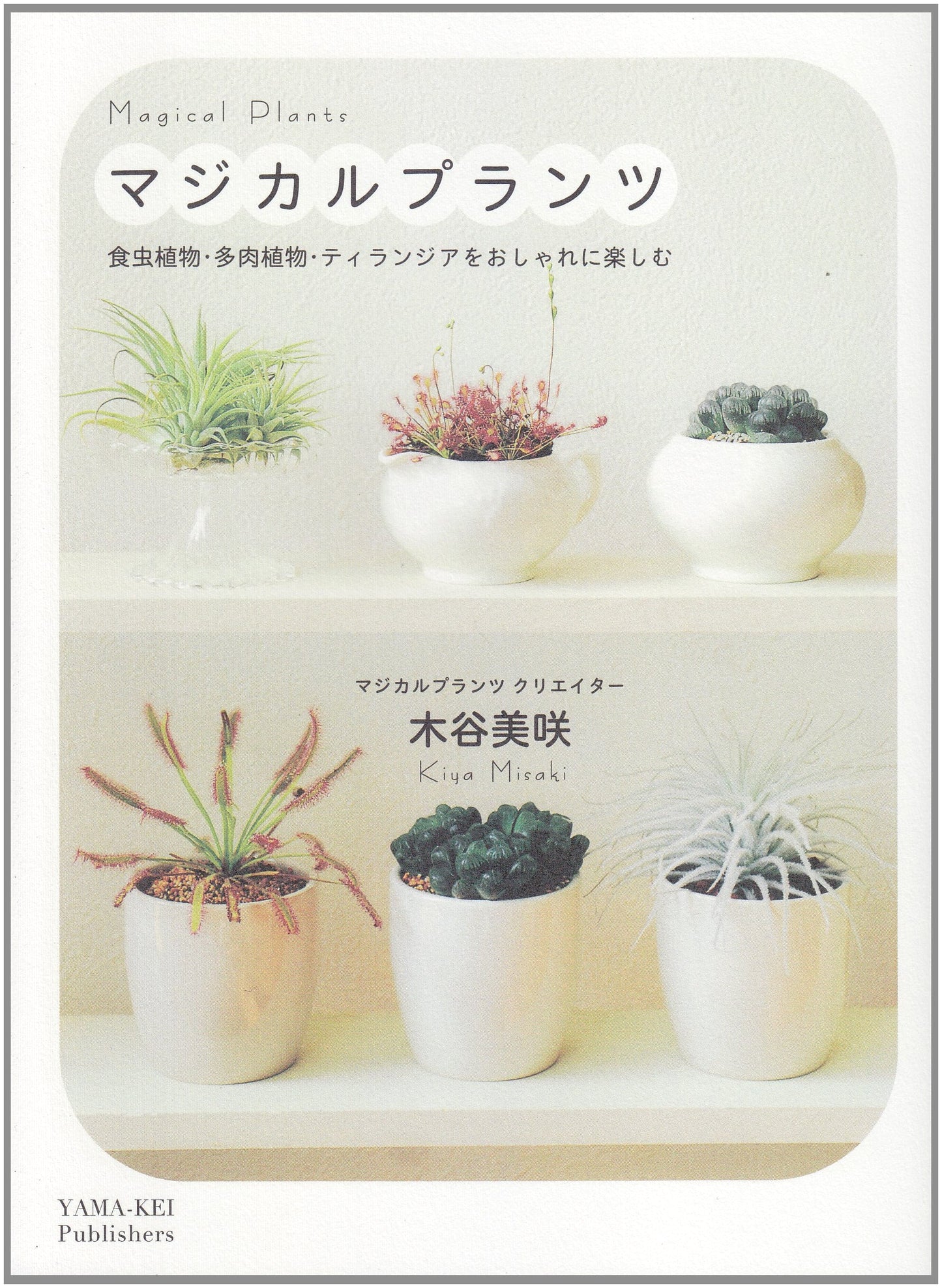 Magical Plants: Enjoying Carnivorous Plants, Succulents, and Tillandsia in Style by Misaki Kitani