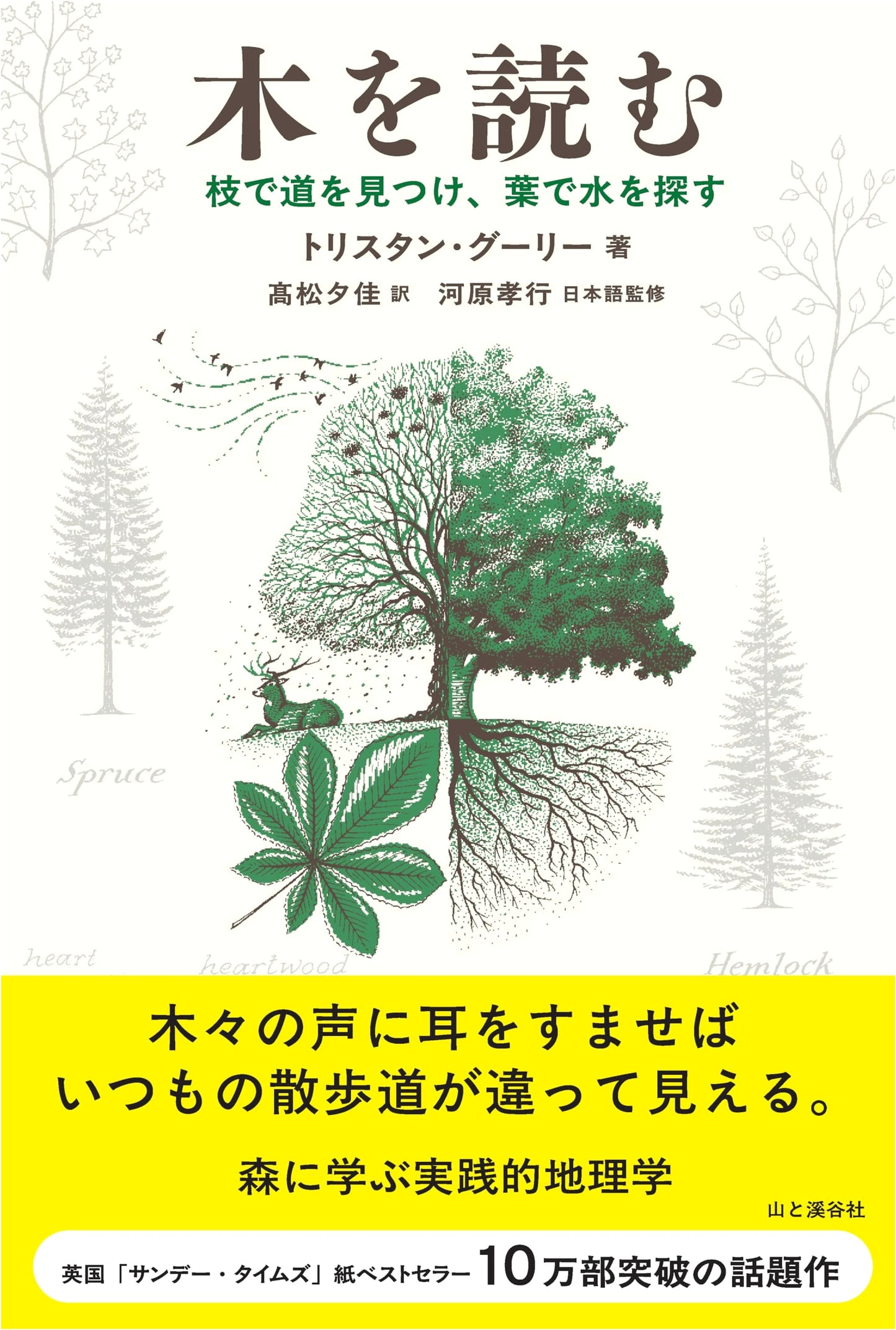 Reading Trees: Finding Paths with Branches, Searching for Water with Leaves