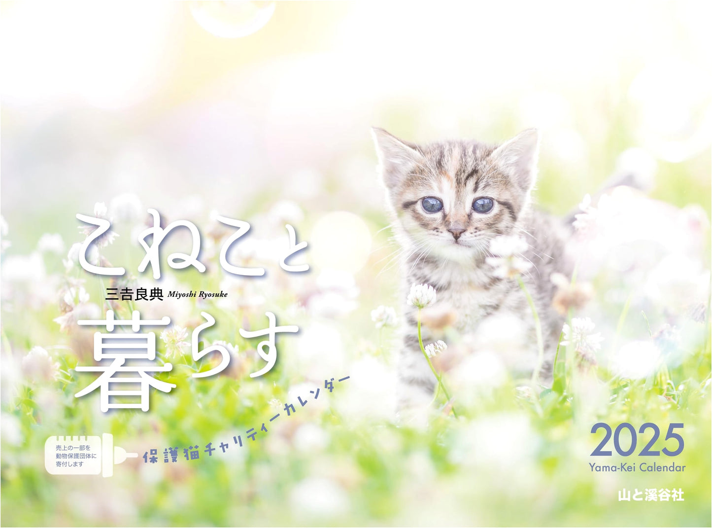 2025 Calendar: Living with Kittens - Rescue Cat Charity Calendar (Wall Calendar)