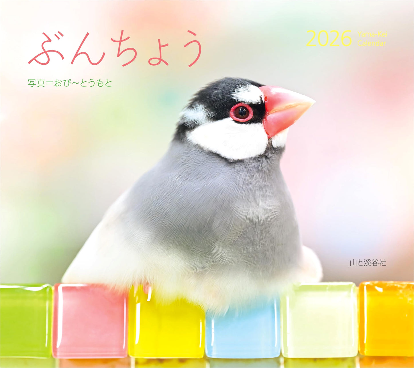 Calendar 2026: Java Sparrows (Monthly/Wall Hanging/Bird Finch)