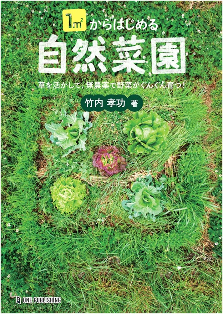 Natural Vegetable Gardening From 1 Square Meter by Takayuki Takeuchi