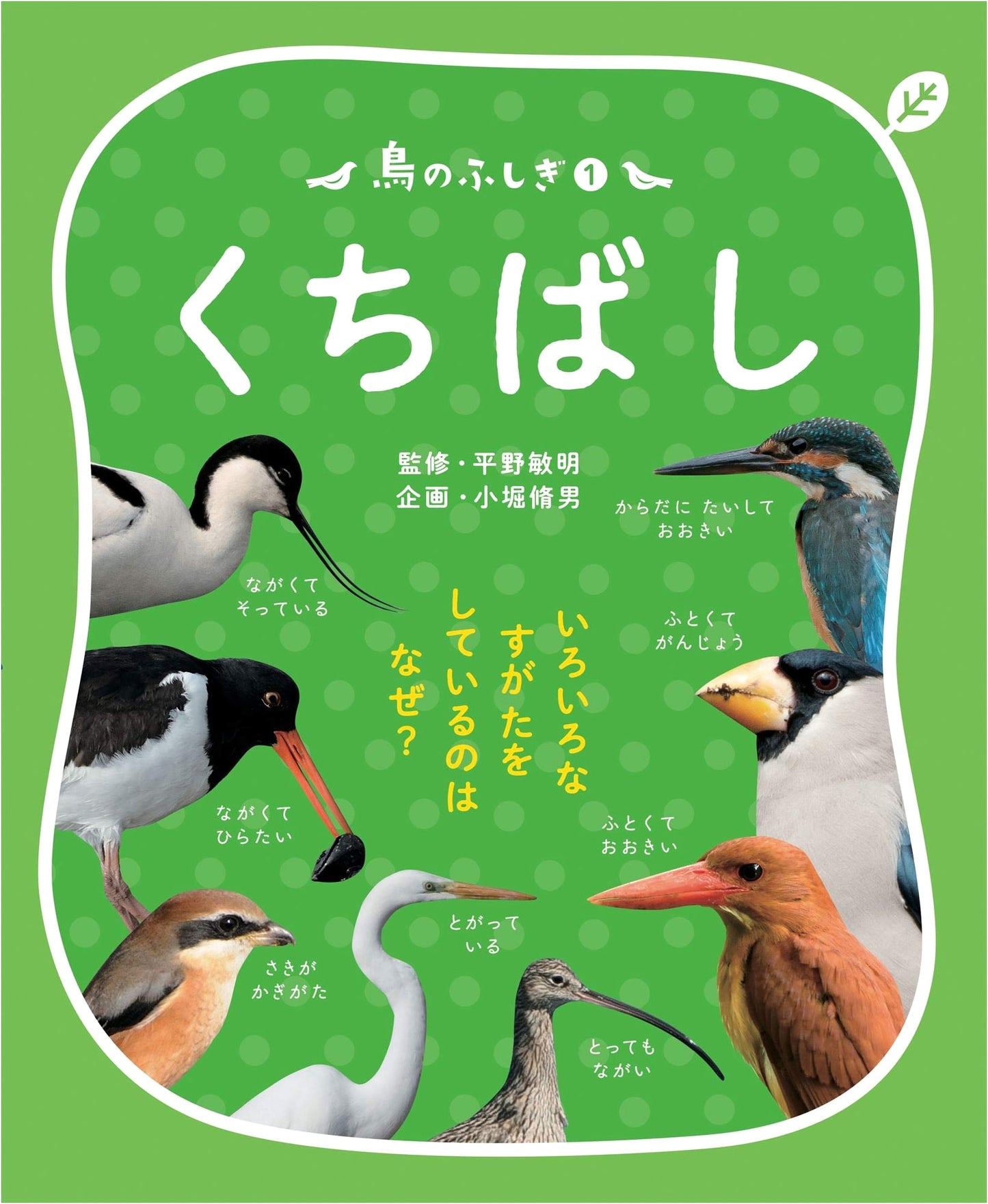 Mysteries of Birds 1: Beaks - Why Do They Have Various Shapes?