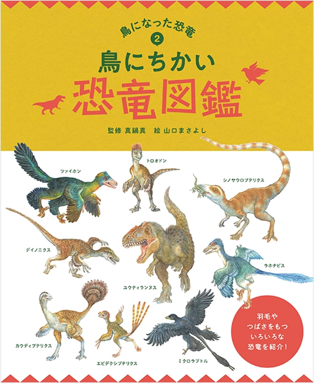 Dinosaur Picture Book: Dinosaurs That Became Birds
