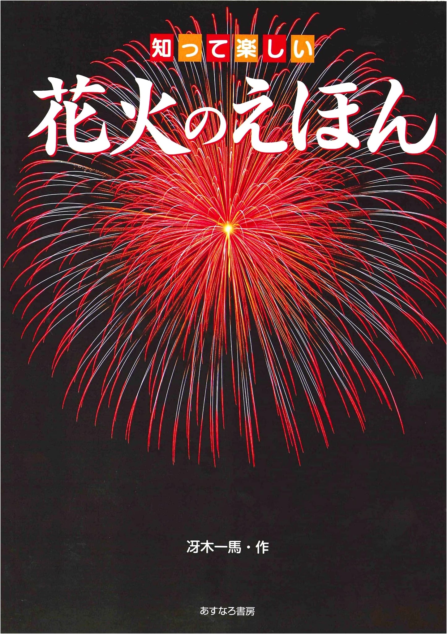 A Fun Picture Book About Fireworks