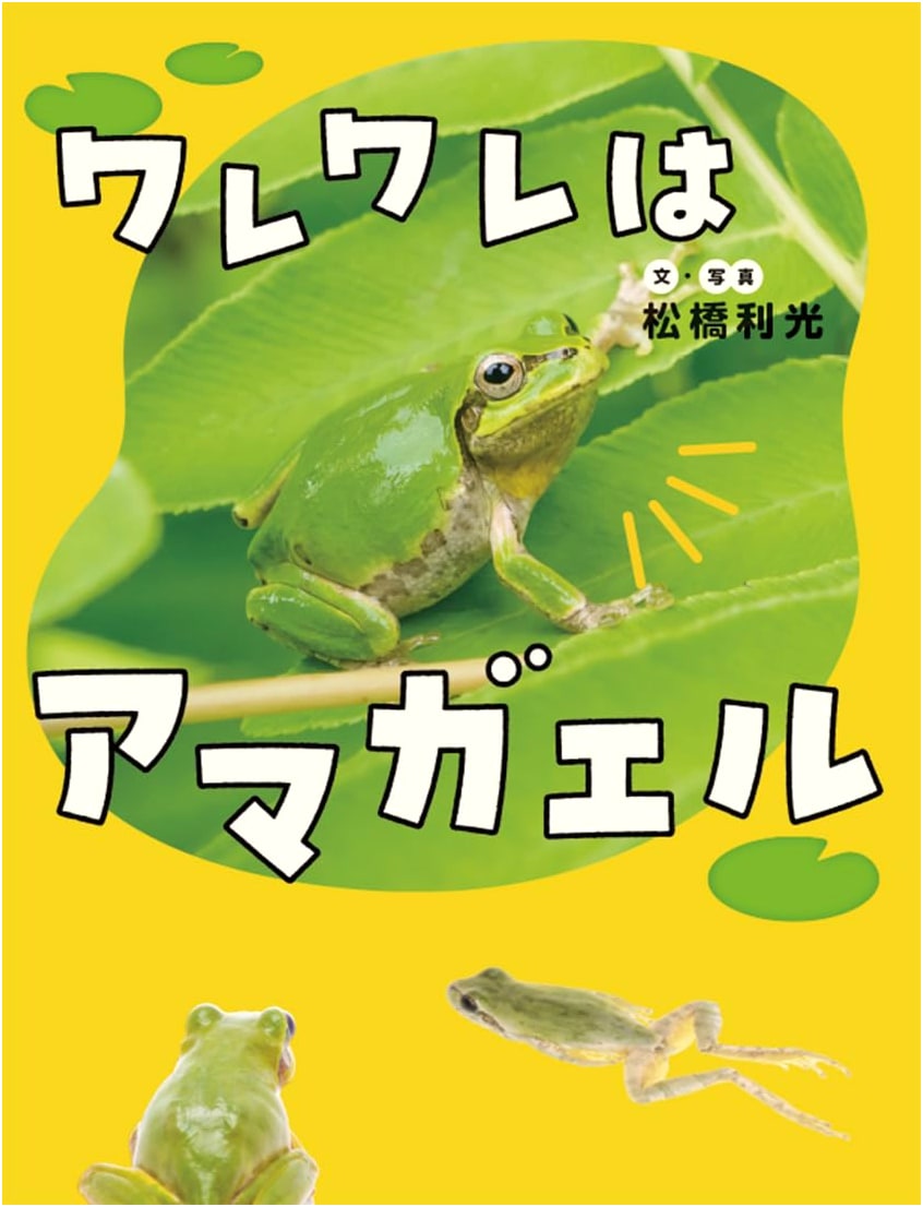We Are Tree Frogs