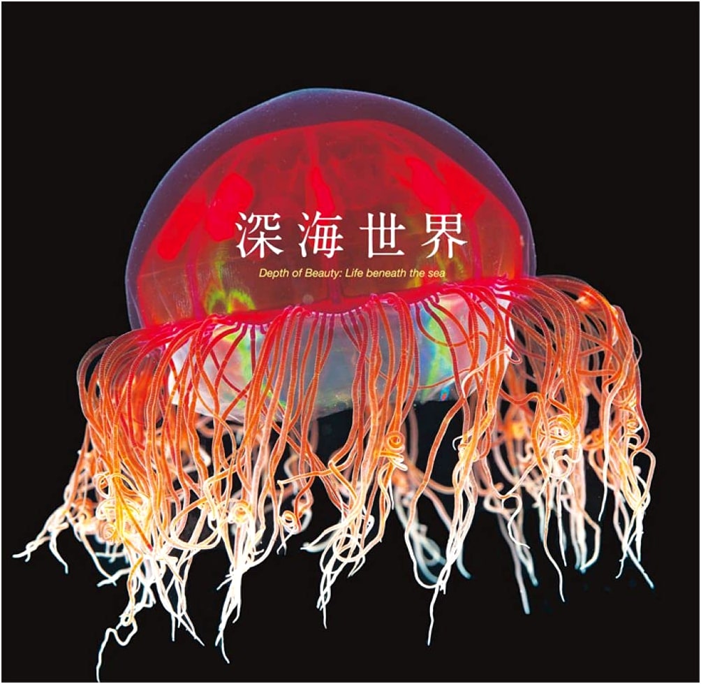 Deep Sea World