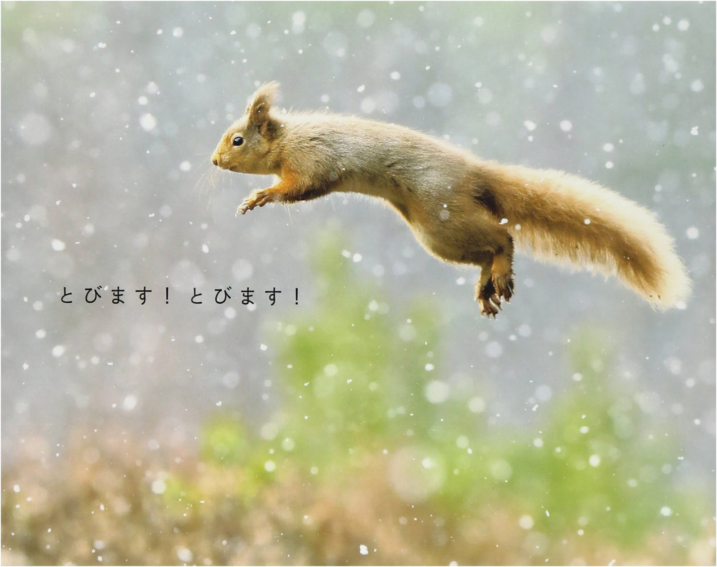 I'm Flying! I'm Flying!