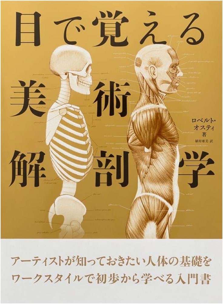 Visual Learning Guide to Artistic Anatomy
