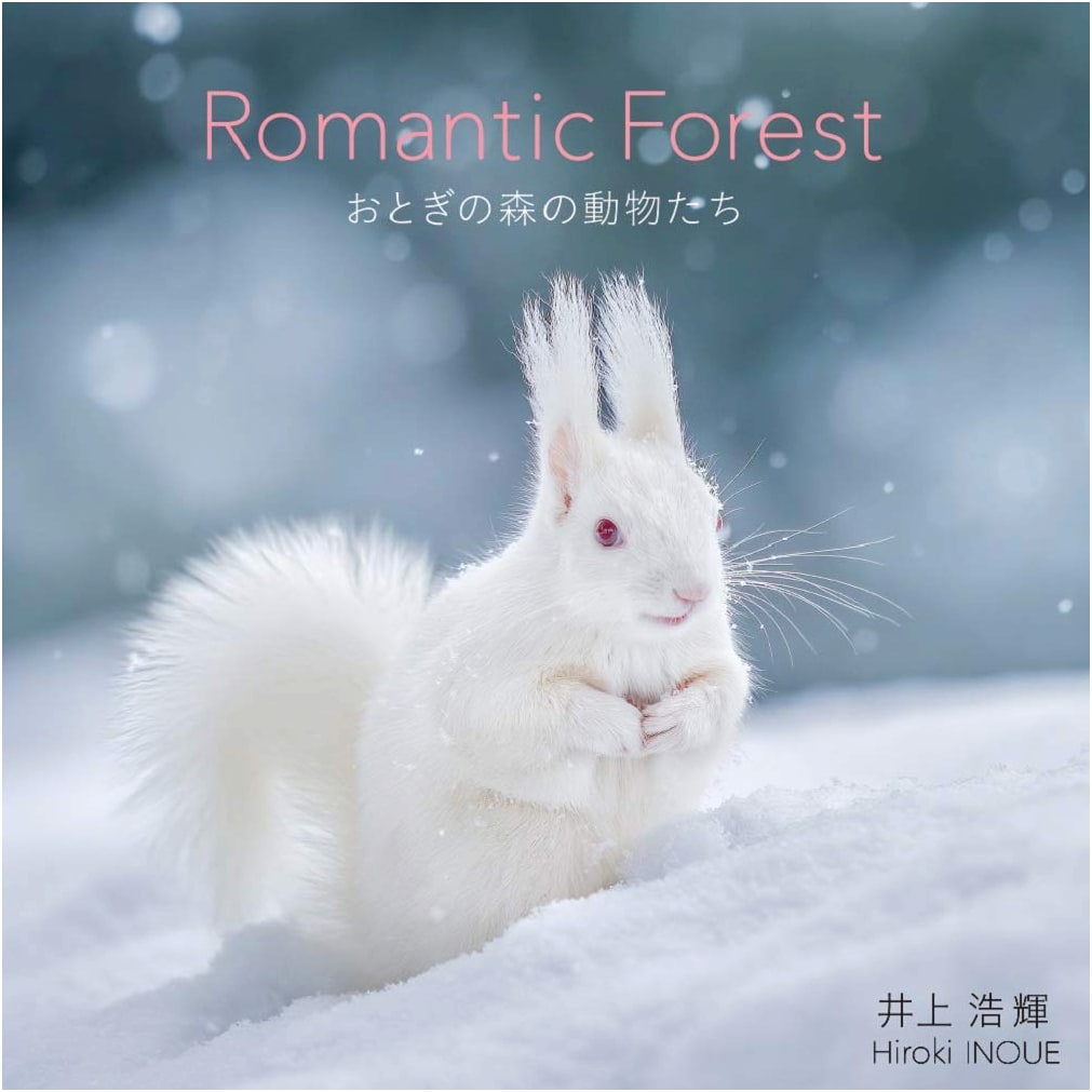 Romantic Forest: Animals of a Fairy Tale Forest by Hiroki Inoue