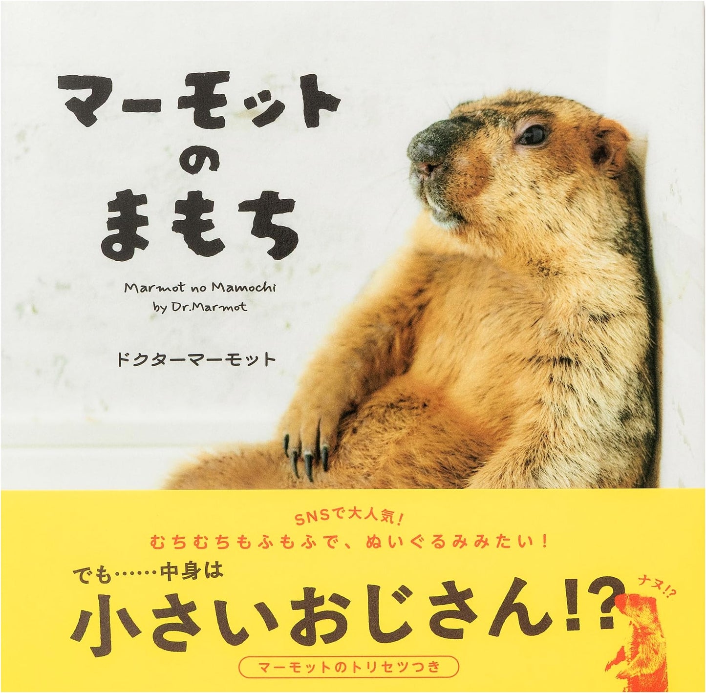 Marmot's Mamochi: An Adorable Illustrated Tale